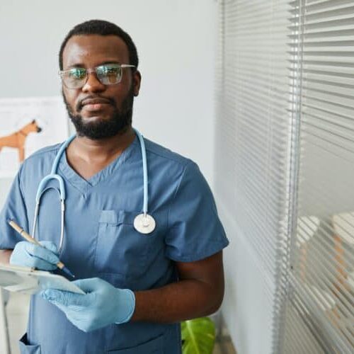 Young confident African-American veterinarian making notes in medical document